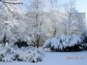 dscn0006