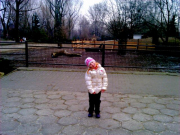 IMG_20140308_194028
