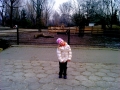 IMG_20140308_194028