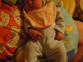 dscn2316