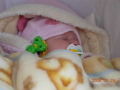 dscn2402