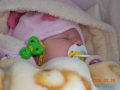 dscn2405