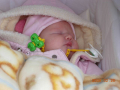 dscn2406