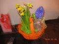 dscn2495