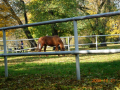 dscn6362