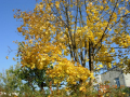 dscn6382