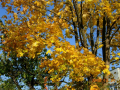 dscn6383