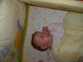 dscn3632