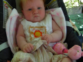 dscn3766
