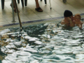dscn5428
