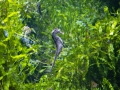 DSC_0027 DSC_0027