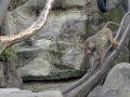 DSC_0046 DSC_0046