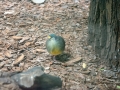 DSC_0059 DSC_0059