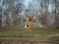 DSC_0129 DSC_0129