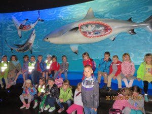 IMG_1396