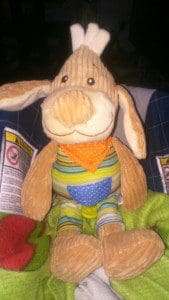 wpid-dsc_0002.jpg